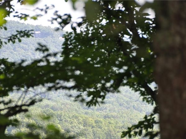 8261 Cox Mountain Drive , Big Canoe, GA 30143