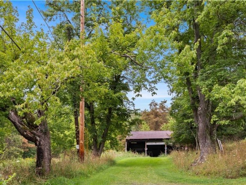 Buzzard Road , Wellsville, OH 43968 Photo 10