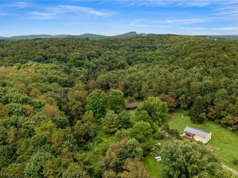 Buzzard Road , Wellsville, OH 43968 Photo 12