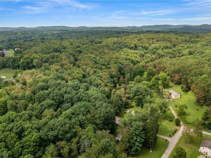 Buzzard Road , Wellsville, OH 43968 Photo 13