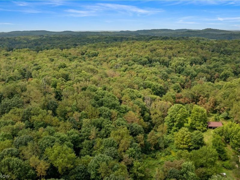 Buzzard Road , Wellsville, OH 43968 Photo 14