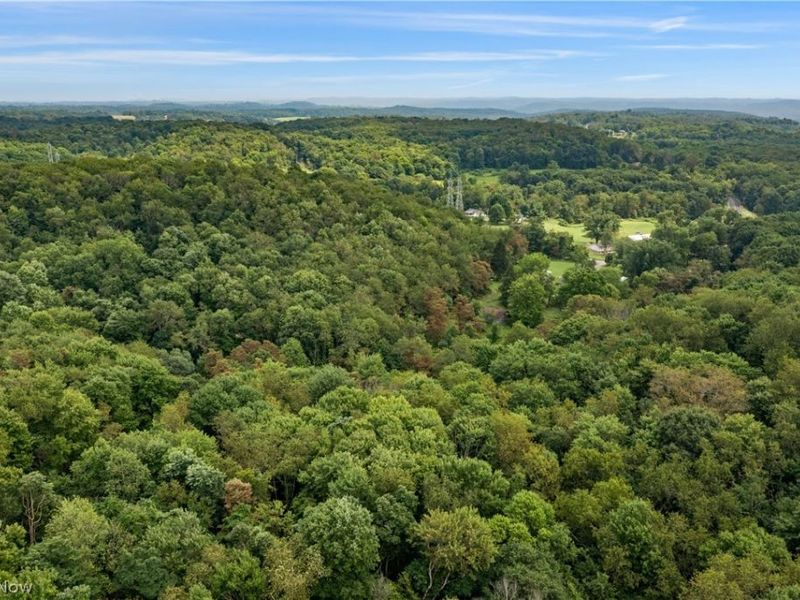 Buzzard Road , Wellsville, OH 43968 Photo 16