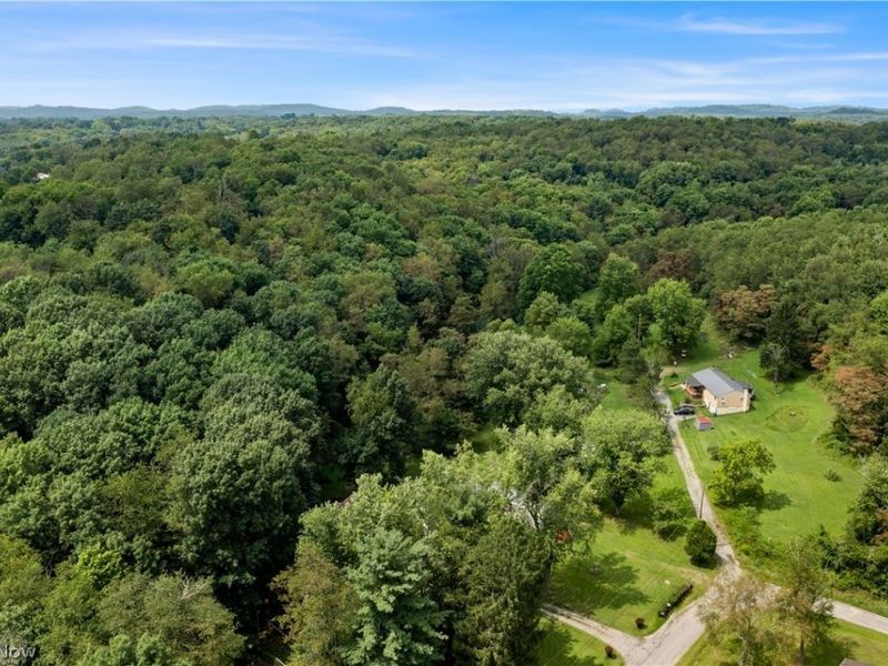 Buzzard Road , Wellsville, OH 43968 Photo 17