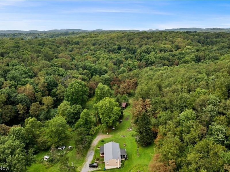 Buzzard Road , Wellsville, OH 43968 Photo 18