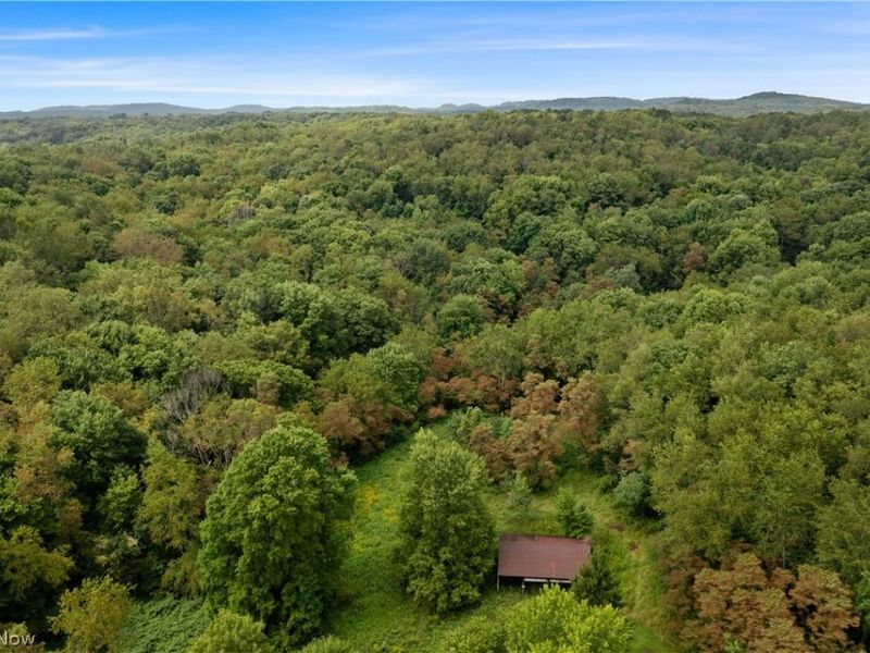 Buzzard Road , Wellsville, OH 43968 Photo 19