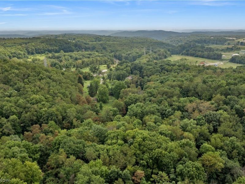 Buzzard Road , Wellsville, OH 43968 Photo 22