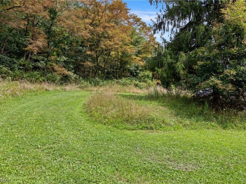Buzzard Road , Wellsville, OH 43968 Photo 3