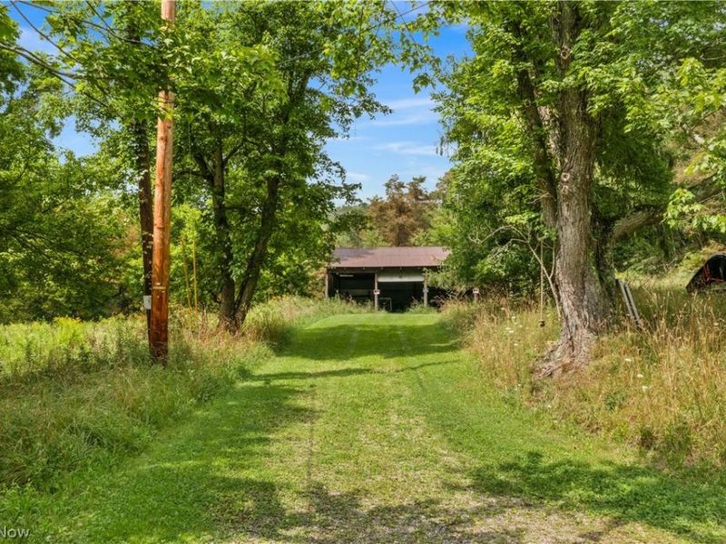 Buzzard Road , Wellsville, OH 43968 Photo 4