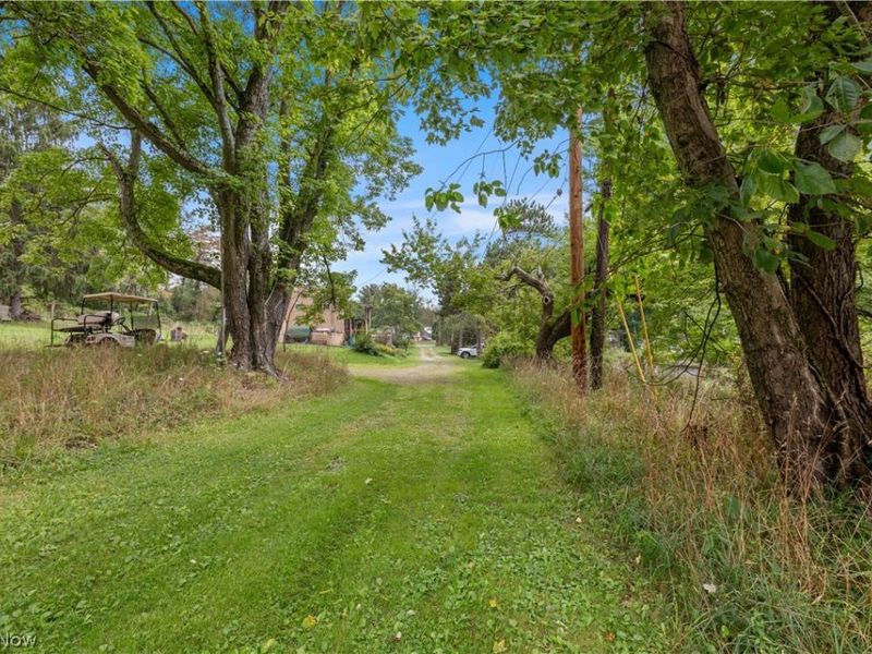 Buzzard Road , Wellsville, OH 43968 Photo 5