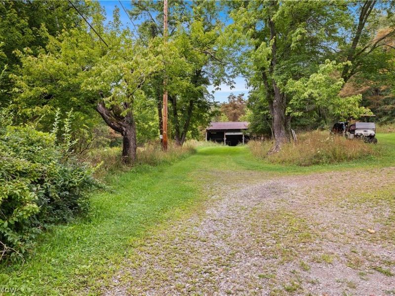 Buzzard Road , Wellsville, OH 43968 Photo 9