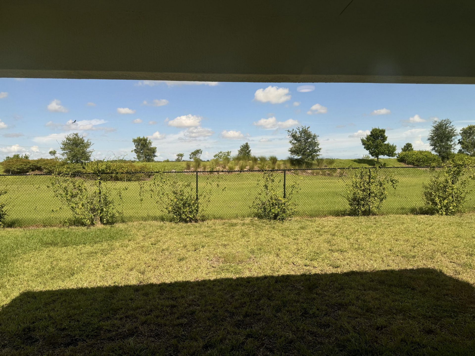 1154 Tangled Orchard Trace, Loxahatchee, FL 33470 Photo