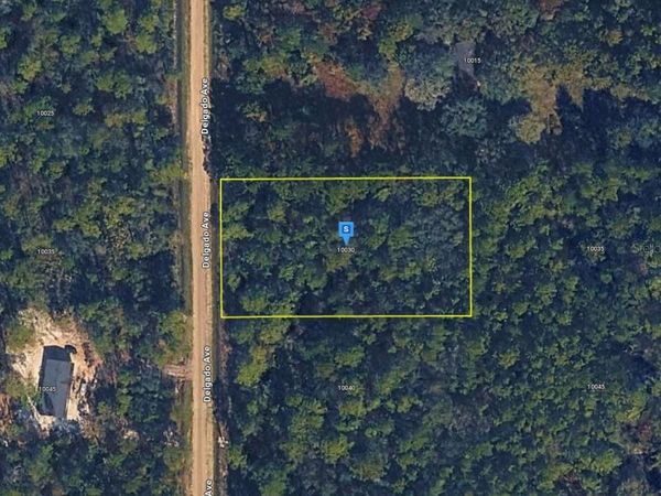 10030 DELGADO AVENUE , HASTINGS, FL 32145