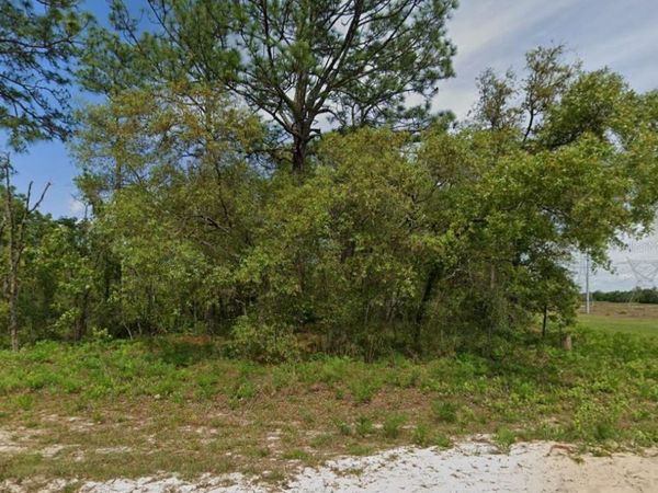 6895 N VARSITY AVENUE , CITRUS SPRINGS, FL 34434