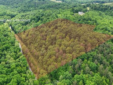 8295 State Hwy 1003, Somerset, KY 42501
