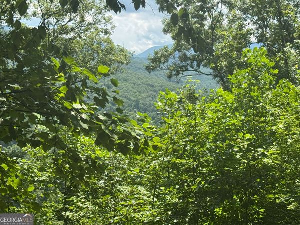 #2 & #7 Ivy Lane, Hiawassee, GA 30546