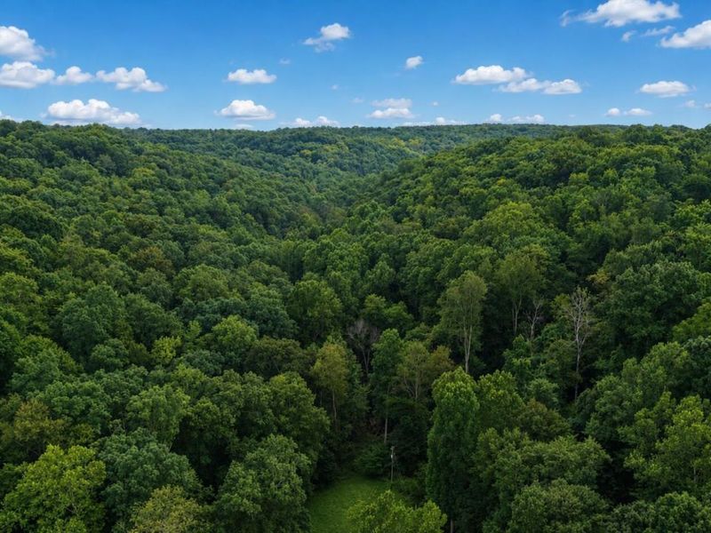0 Rocky Fork Road , Rockbridge, OH 43149 Photo 2