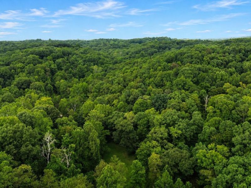 0 Rocky Fork Road , Rockbridge, OH 43149 Photo 5