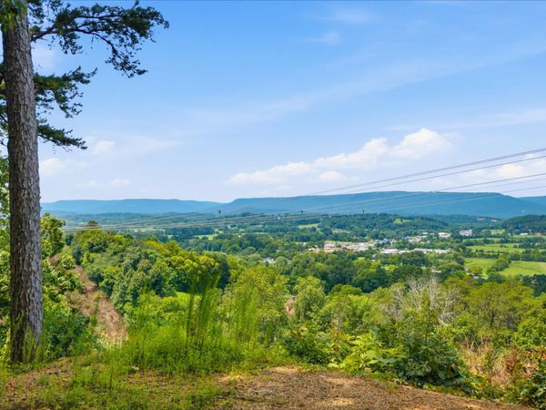 00 Pete Graham Road, Jasper, TN 37347