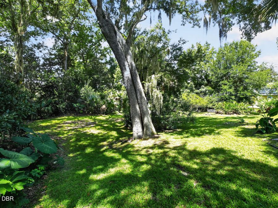 Property Image 56