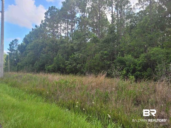 0 Bellingrath Road, Theodore, AL 36582