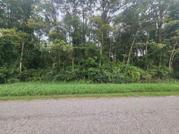 V/L 1.48AC Kerry Road, Onekama, MI 49675