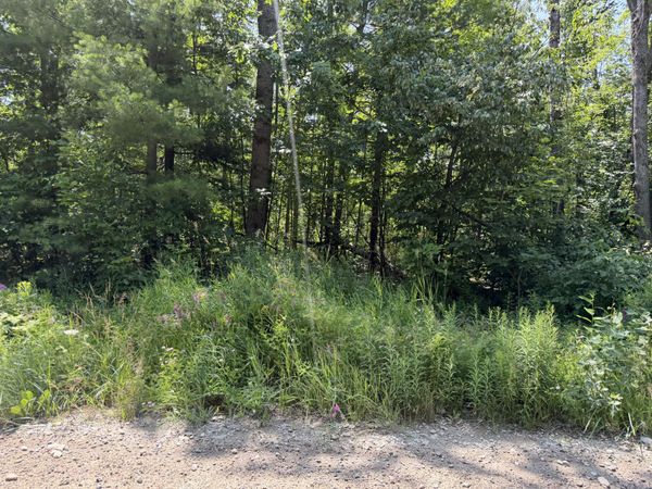 7881 Meridian Line Road, Johannesburg, MI 49751