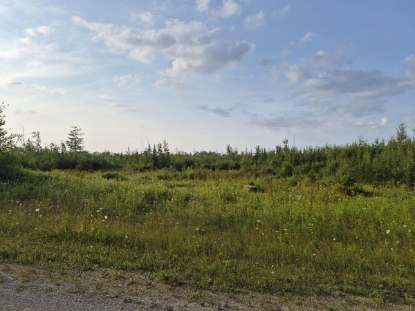 V/L Black Bear Highway, Rogers City, MI 49779