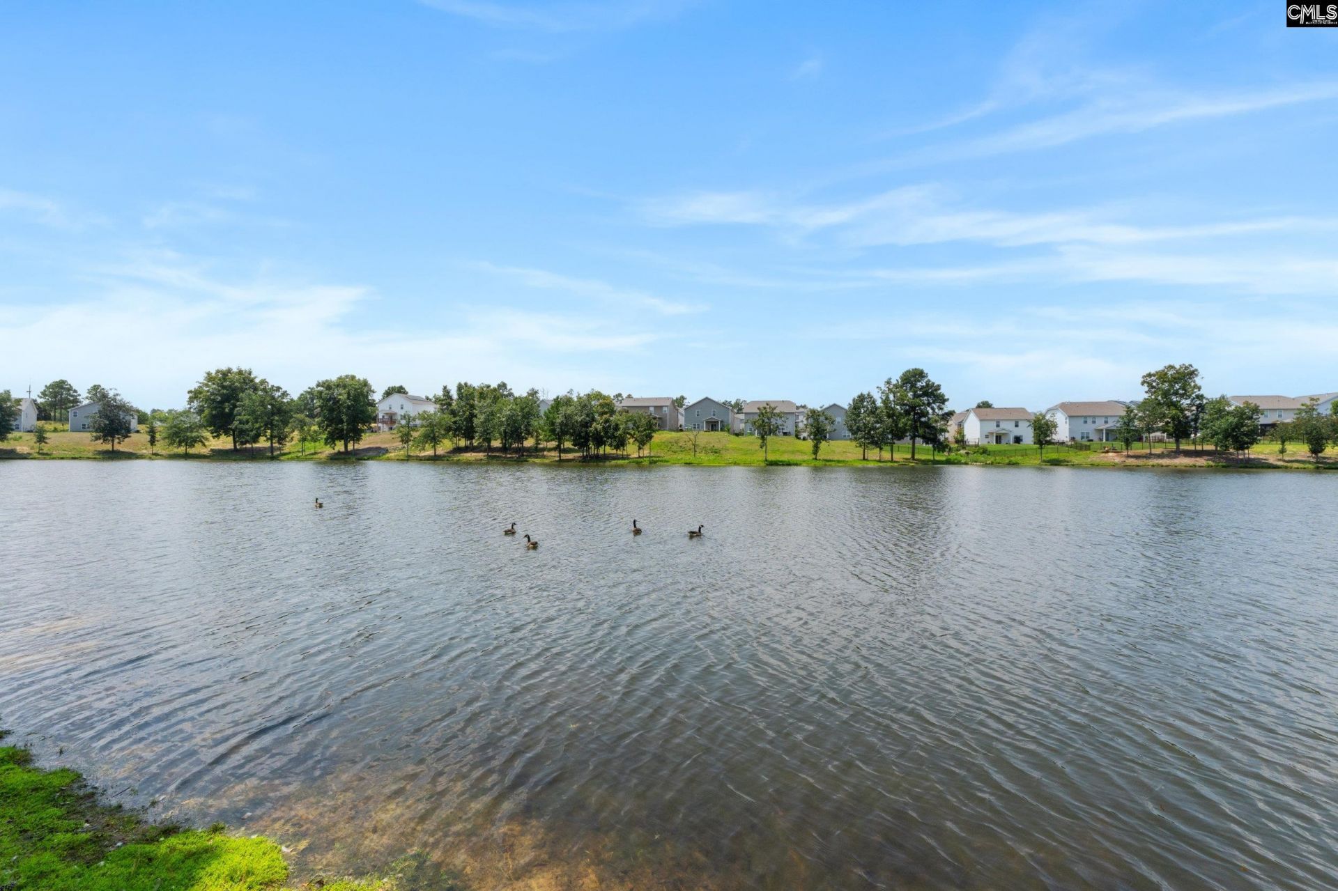 213 Founders Ridge Road Photo 42