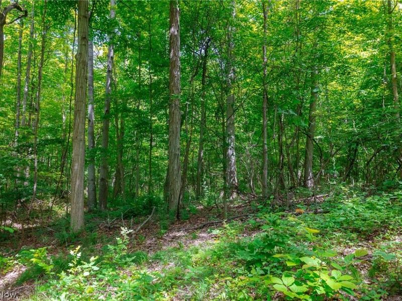 US 322 , Orwell, OH 44076 Photo 25