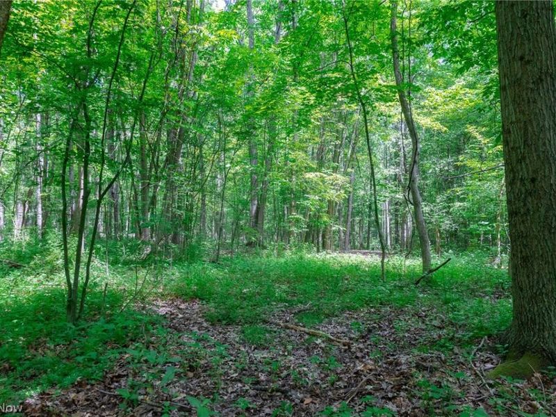 US 322 , Orwell, OH 44076 Photo 32