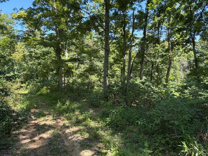 ac S Upper Twin Road, South Salem, OH 45681 Photo 12