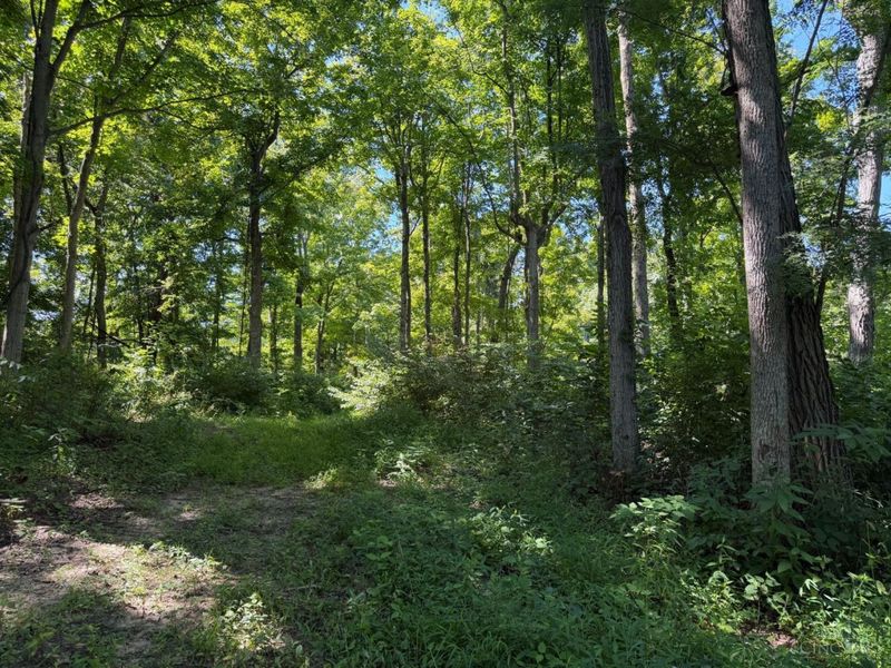 ac S Upper Twin Road, South Salem, OH 45681 Photo 13