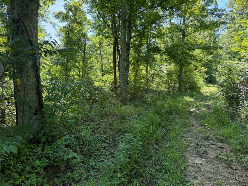 ac S Upper Twin Road, South Salem, OH 45681 Photo 15