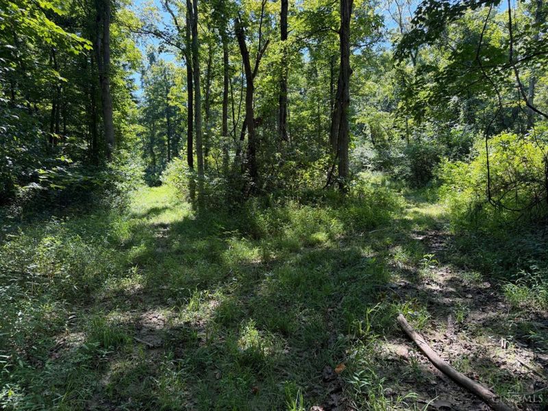 ac S Upper Twin Road, South Salem, OH 45681 Photo 16