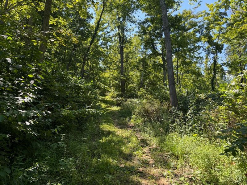 ac S Upper Twin Road, South Salem, OH 45681 Photo 17
