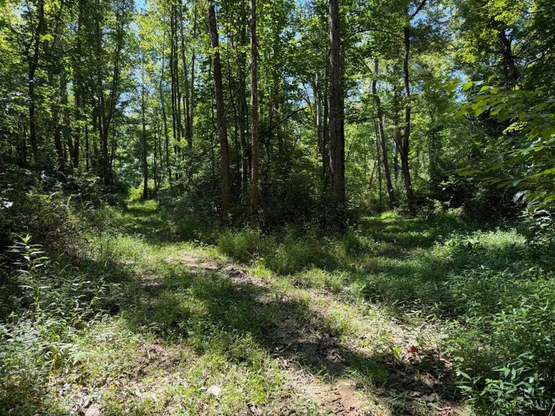ac S Upper Twin Road, South Salem, OH 45681 Photo 18
