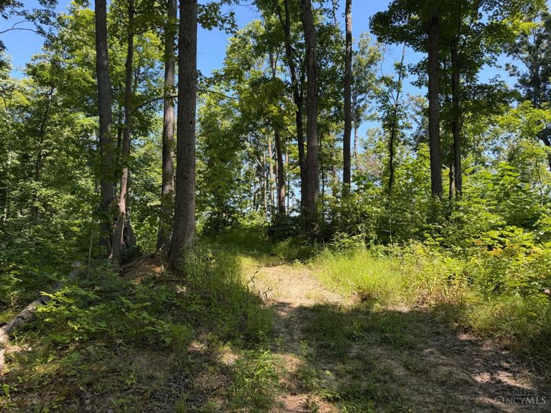ac S Upper Twin Road, South Salem, OH 45681 Photo 4