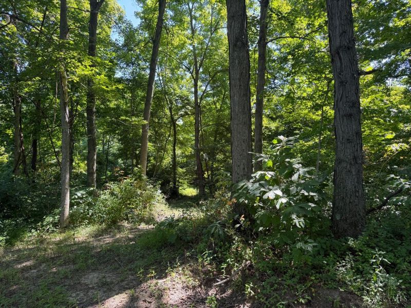 ac S Upper Twin Road, South Salem, OH 45681 Photo 7