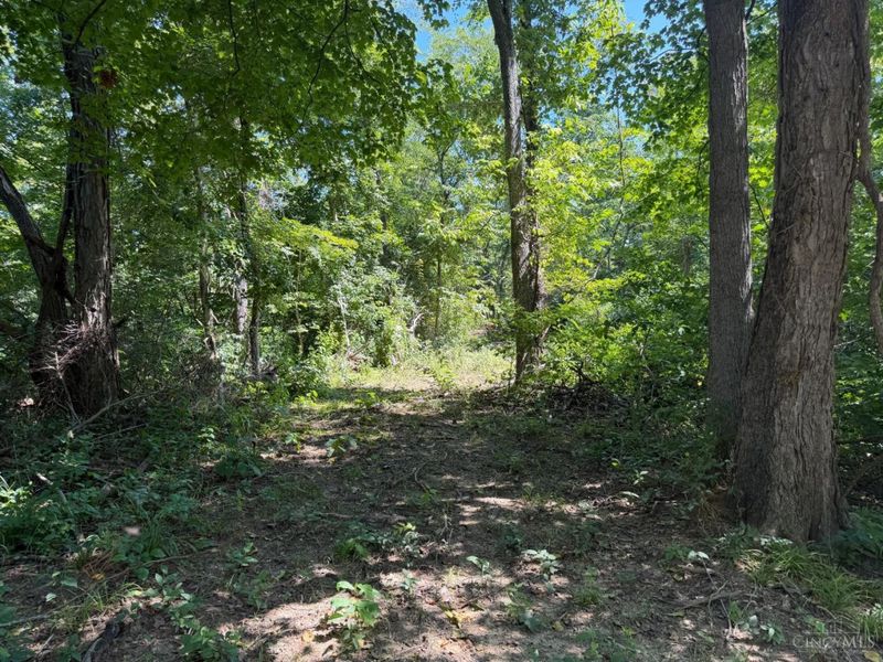 ac S Upper Twin Road, South Salem, OH 45681 Photo 8