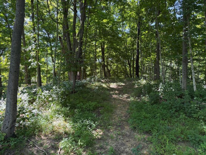 ac S Upper Twin Road, South Salem, OH 45681 Photo 9