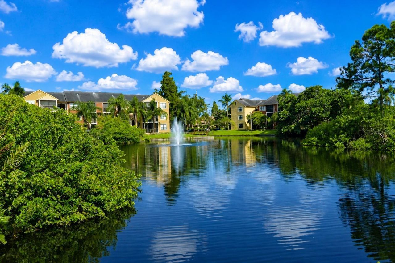 11901 4th Street N, Unit 10206, Saint Petersburg, FL 33716 Photo