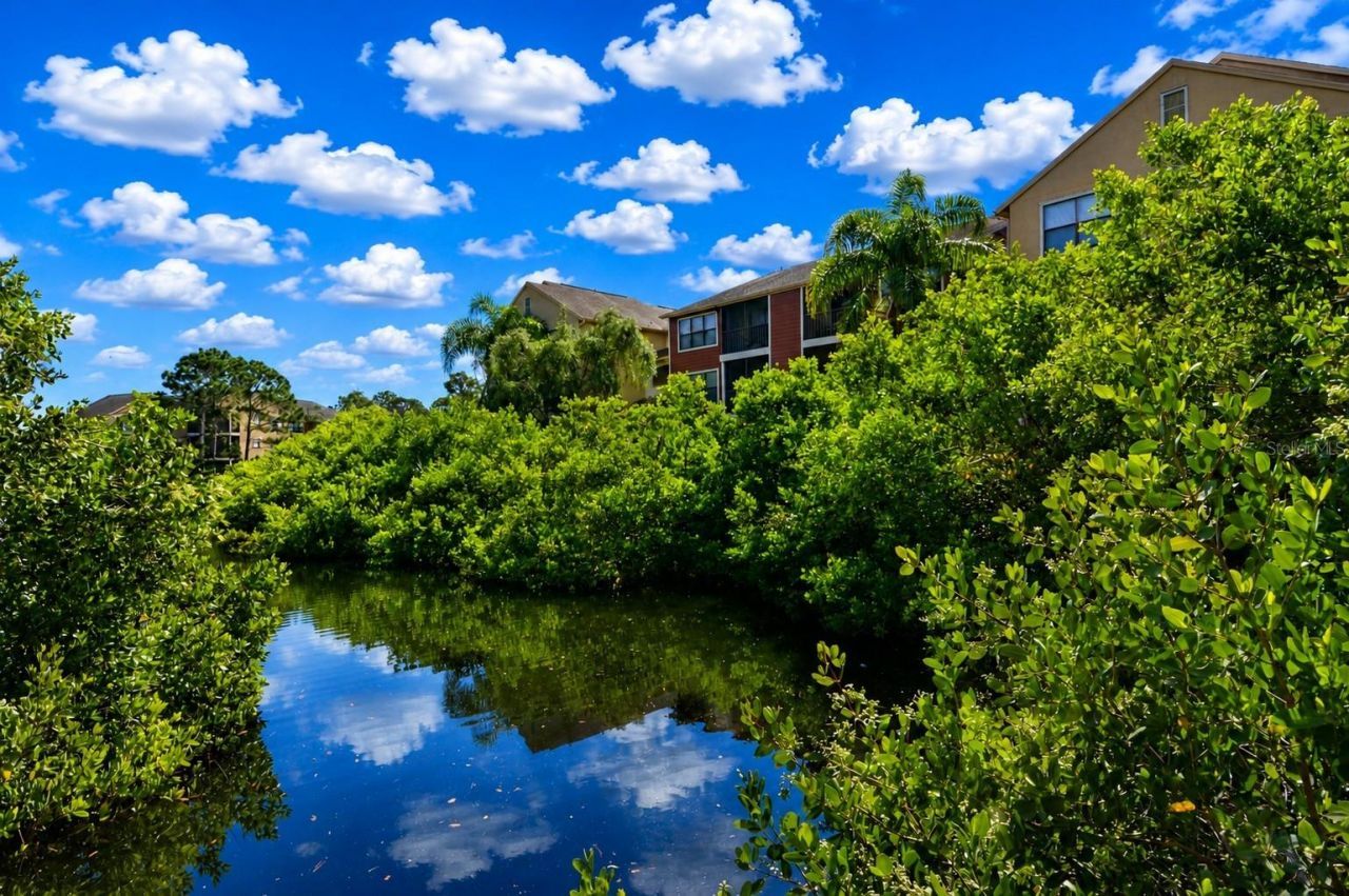 11901 4th Street N, Unit 10206, Saint Petersburg, FL 33716 Photo