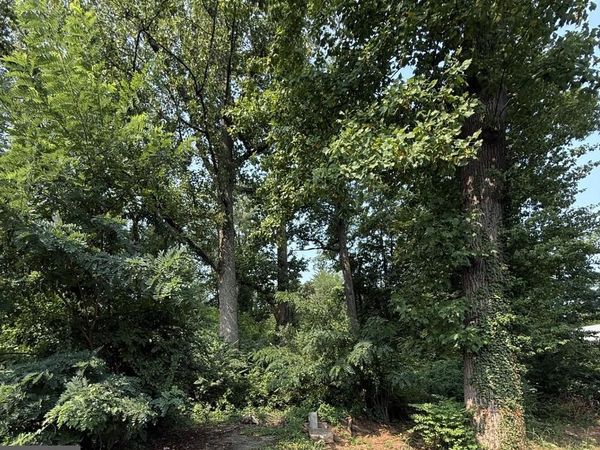 9300 OLD GEORGETOWN ROAD , BETHESDA, MD 20814