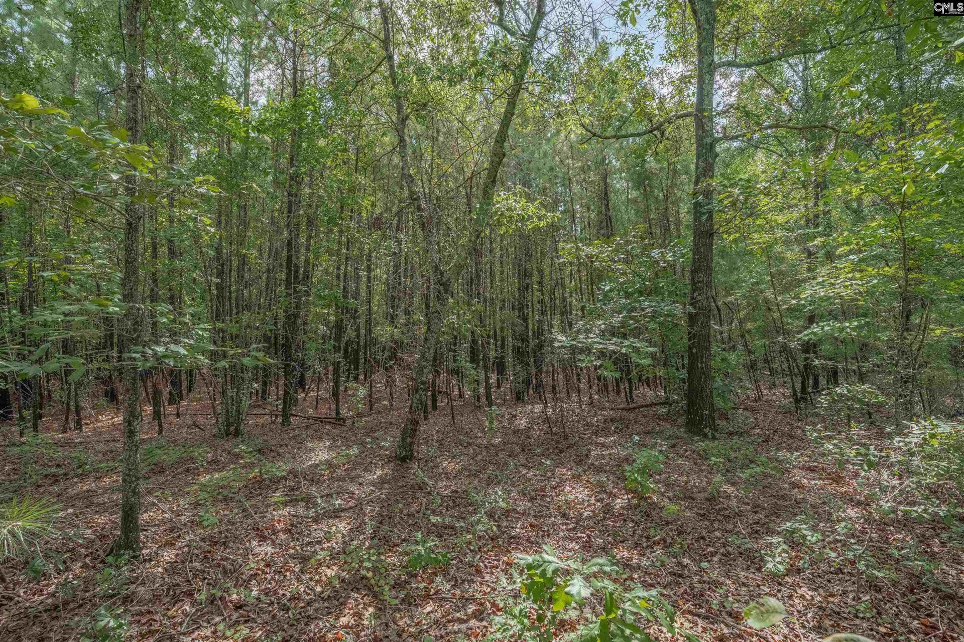 Fulmer Road  Photo 20