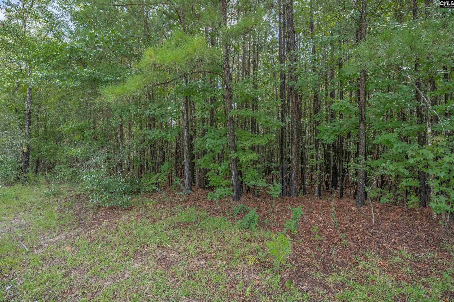 Fulmer Road  Photo 21