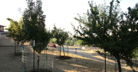 793 N Sutro Terrace, Carson City, NV 89706 Photo
