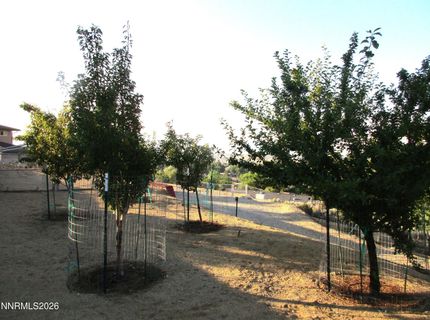 793 N Sutro Terrace, Carson City, NV 89706 Photo