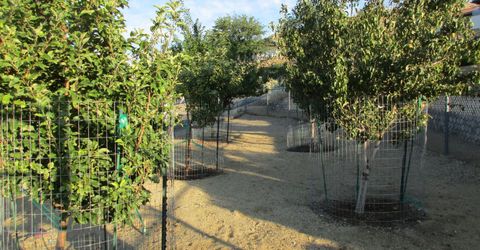 793 N Sutro Terrace, Carson City, NV 89706 Photo