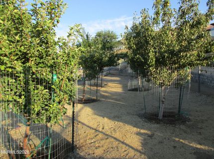 793 N Sutro Terrace, Carson City, NV 89706 Photo