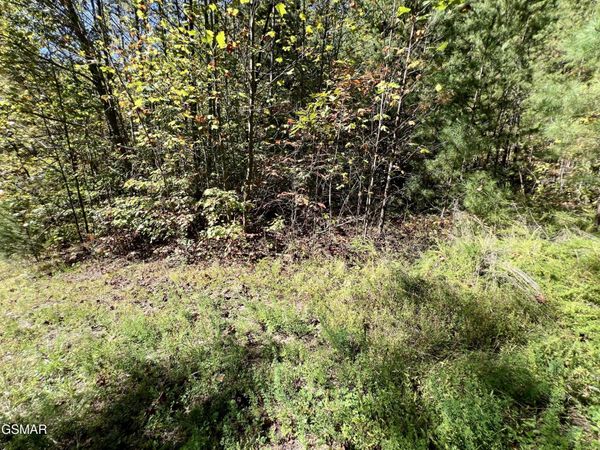 5.61 Acre Creek Hollow Way , Sevierville, TN 37876